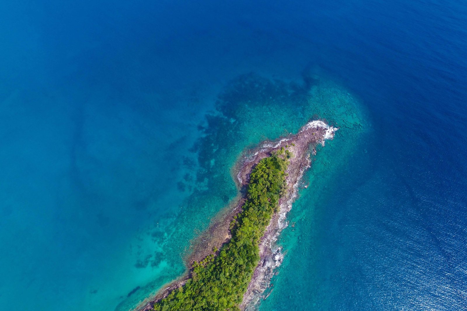 shutterstock_1219686637-min