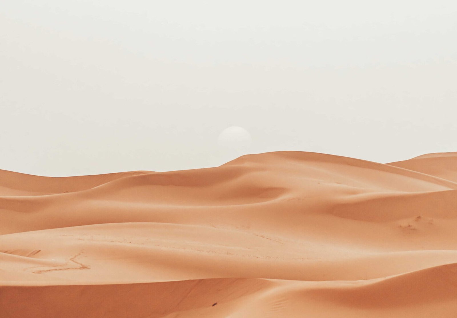 shutterstock_2355867013-min