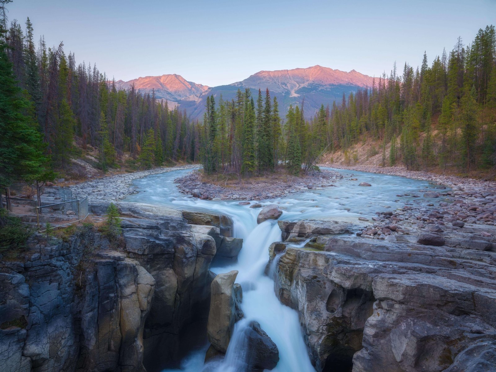 shutterstock_2583417583-min