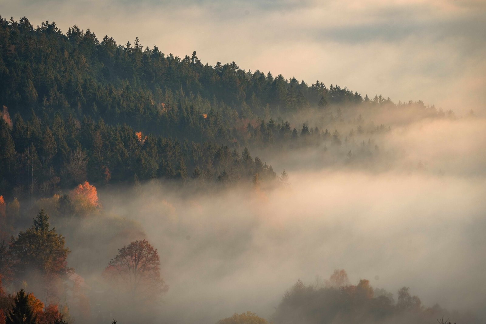 shutterstock_2594713553-min